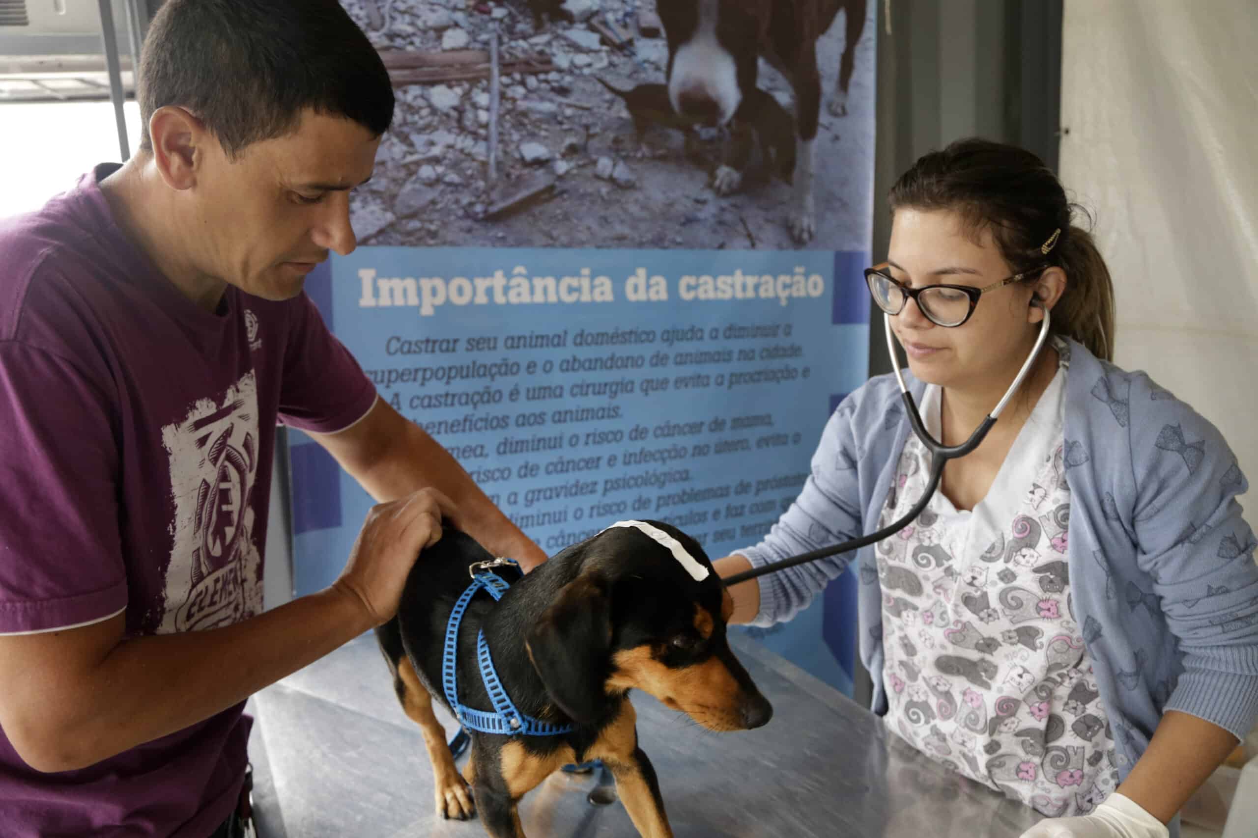 Cães e gatos têm castração gratuita no Santa Cândida até o final de novembro - Curitiba de Graça