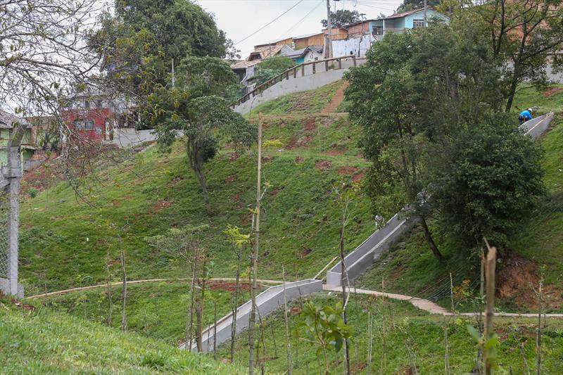 novo bosque no Pilarzinho