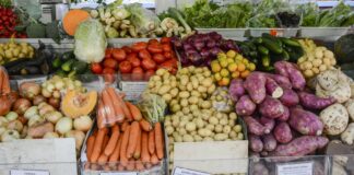 foto mostra uma banca de feira com vários legumes