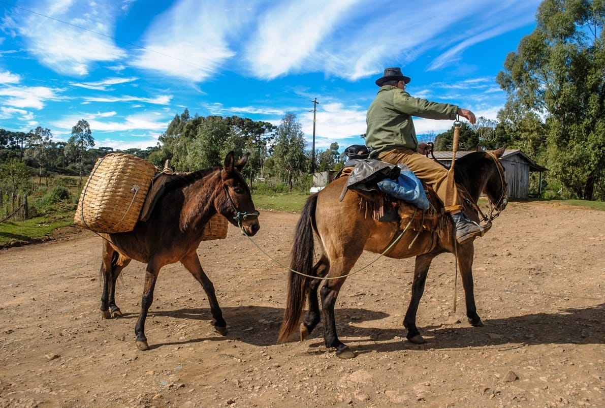"Histórias de Faxinais" MAE-UFPR